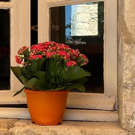 Nyaraló L'escarpolette *